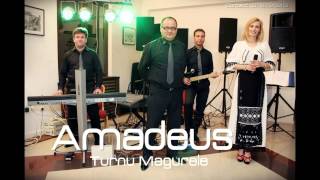 Amadeus Turnu Magurele - Nu merg nici calare nici pe jos (Live )