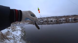 видео: Поклевки Просто ШЕДЕВР! Ловля ЩУКИ на Живца! Рыбалка на Щуку! картинка: Поклевки Просто ШЕДЕВР! Ловля ЩУКИ на Живца! Рыбалка на Щуку!