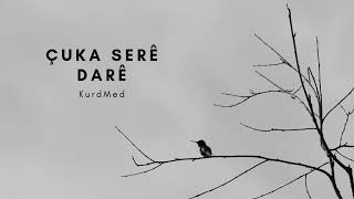 Çûka Serê Darê (℗Kurdmed 2024)