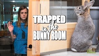 24 HOURS TRAPPED IN THE BUNNY ROOM 😱