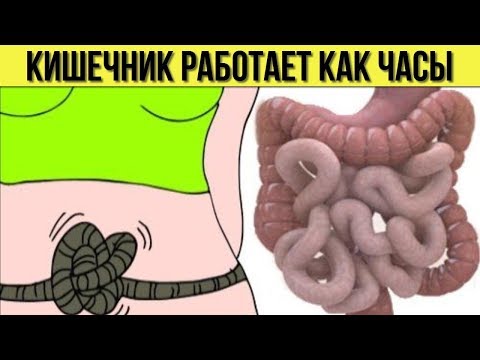 Как БЫСТРО и ПРОСТО устранить ЗАПОР НАВСЕГДА Теперь мой КИШЕЧНИК работает как часы Секреты ЗДОРОВЬЯ