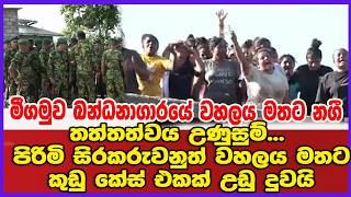 කාන්තා රැඳවියන් වහලය මතට නගී මිගමුව බන්ධනාගාරයේ තත්තත්වය උණුසුම්... පිරිමි සිරකරුවනුත් වහලය මතට
