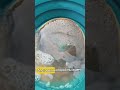 Карта для поиска золота! #добычазолота #золото #золотоискатель