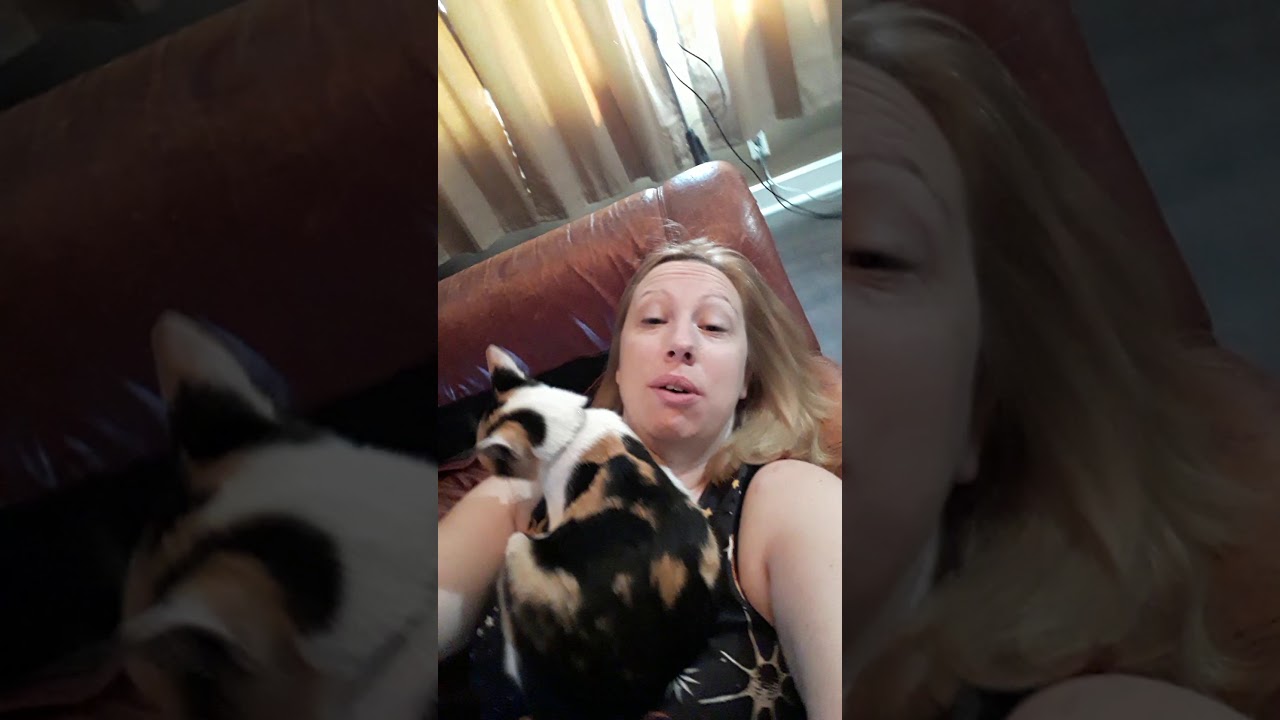 Clingy cat!! 