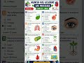 Class 10 Science Life Processes MCQs Worksheet 3    Important Objective Questions 21-30 | CBSE 2026