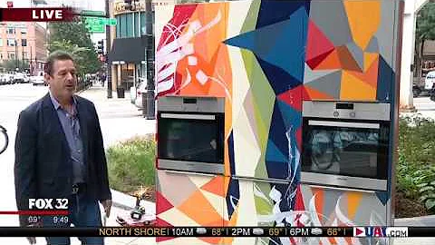Dresner Design on Fox News Chicago