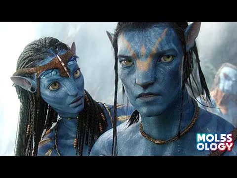 جندي مشلول بيتحول لفضائي ازرق عشان ترجعله رجليه 5   ملخص