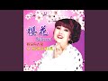 樱花恋 樱花恋