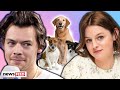 Harry Styles' ODD Connection To 'The Crown' Star Emma Corrin Revealed!