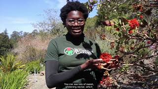 Virtual Plant Collections Tour screenshot 3