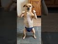 Mom Was Scolding Me… Then My Little Brother Made Me Laugh! 😂🤣