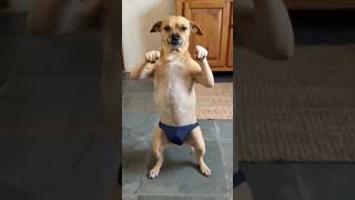 Mom Was Scolding Me… Then My Little Brother Made Me Laugh! 😂🤣