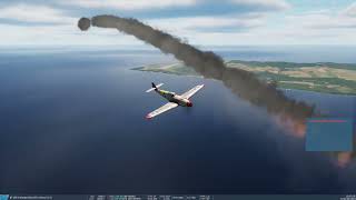DCS Multiplayer Victory