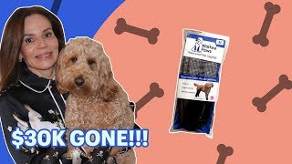 I lost $30,000 trying to launch my product | Shopify Business Comeback Story