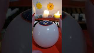 Will you get that raise? Mr. Predicto #shorts #magic8ball #divination
