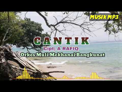 Cantik cipt; A Rafiq,Versi Orkes Muli Mekhanai Gambus Piul