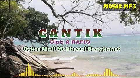 Cantik cipt; A Rafiq,Versi Orkes Muli Mekhanai Gambus Piul