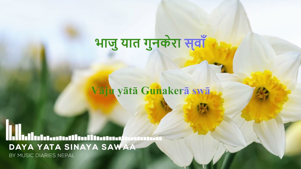 द्य यात सिन्या स्वाँ NEWĀ BHĀSĀ SONG KARAOKE/INSTRUMENTAL: Music Diaries Authentic Karaoke Session 2