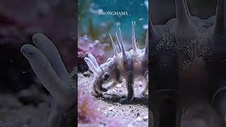 Hallucigenia: Walking Through 500 Million Year Old Oceans | Earth's Strangest Creature #cambrianlife