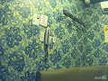 ナナムジカ/くるりくるり【うたスキ動画】