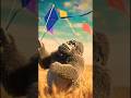 gorilla,s speaking kite 🦍🎶🎏 | gorilla ki bolne wi patang | gorilla fly kite #cartoon #shorts #kite