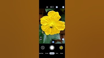 Gcam Lmc 8.4 R18 Lmc 8.4 Config File Download | Lmc 8.4 Camera #lmc #photography