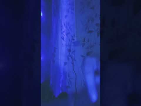 после зимних каникул