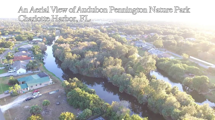 Audubon Pennington Aerial View