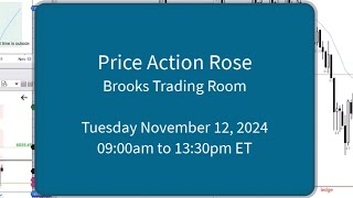 Price Action Rose - Brooks Trading Room November 12, 2024