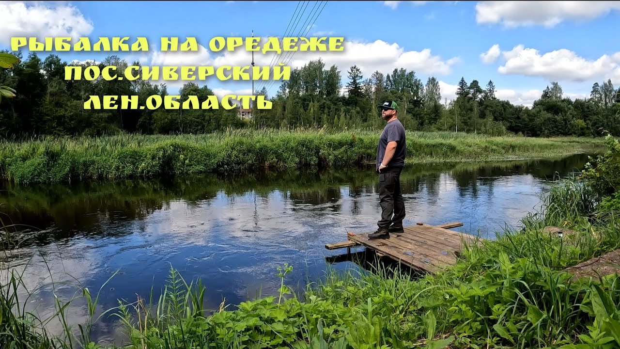 Рыбалка на р.Оредеж, пос.Сиверский, Лен.область 