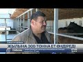 Түркістан облысында кәсіпкер жылына 300 тонна ет өндіреді