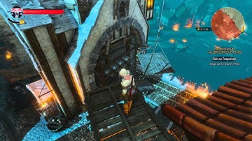 The Witcher 3: Wild Hunt - Play As Ciri (Glitch)