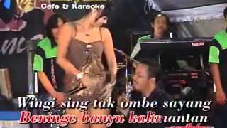 Download Lagu DANGDUT CAMPURSARI KOPLO Pantura - Perawan Kalimantan MP3