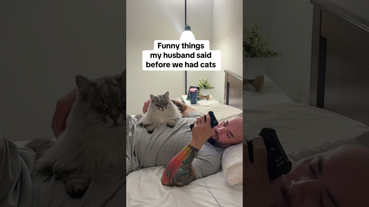 Only cat parents will understand this 😁😹 