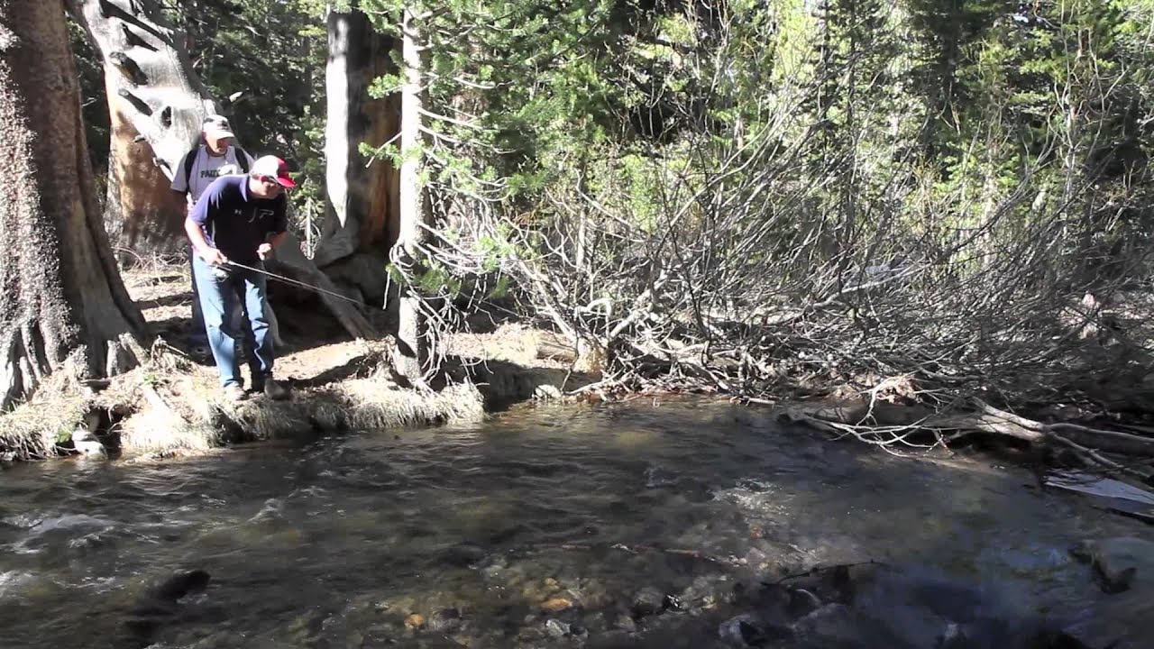 Fishing Salmon Eggs in Streams 