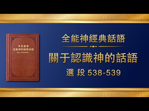 全能神經典話語《關于認識神的話語》選段538-539