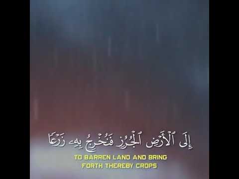 القارئ عبدالرحمن مسعد Abdulrahman Musaad أ و ل م يروا أنا نسوق الماء إلى الأرض الجرز 