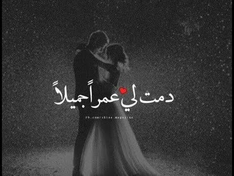 تامر حسني احساس مبيكدبش تامر حسني احساس مبيكدبش  