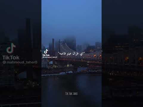 حمو الطيخا اى غزال عينو قناصه