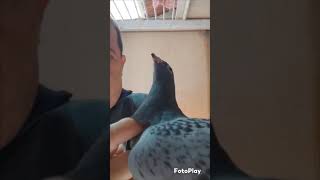 PT 4033054 24