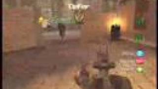 Call of Duty 4 Team Killer