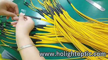 Add Cable Label for MPO Breakout Patch Cables 💌 beta@holightoptic.com #AddCableLabel #MPO #Cable