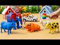 🐄🐘WADIDAU‼️PROSES SAPI KURBAN SIMOLASI   AMAZING TOY WALKING COW AND ELEPHANT Part 56