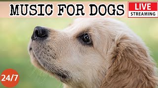 [LIVE] Dog MusicCalming Music for Dog Deep SleepSeparation Anxiety Music for Dog Relaxation 7