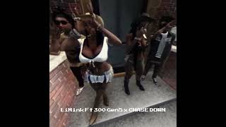 LiMink Ft 300 Gen5 x CHASE DOWN IC Music THE PARKS RP