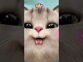 Mai to masoom hu na 😛😂#catvideos#viralvideo#trendingreels#funny#trendingshorts#cutekittyworld#viral