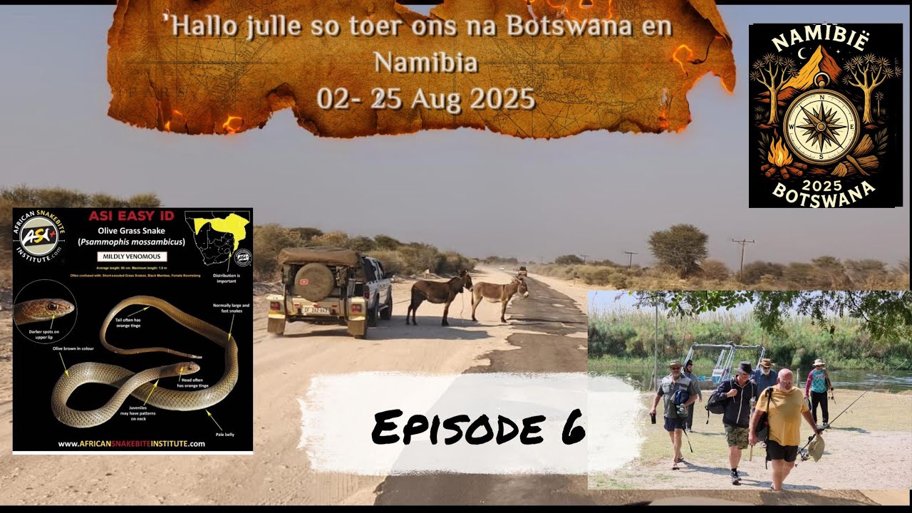 Slangbyt  ..Jip, Whisky 2 word gepik...Swampstop Botswana