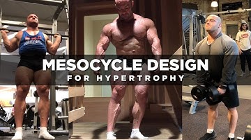 Mesocycle Design for Hypertrophy | Dr. Mike Israetel