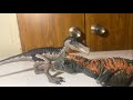 Jurassic world baryonyx vs young carnotaurus stop motion