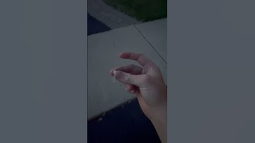 The explosive snap #shorts #fireworks